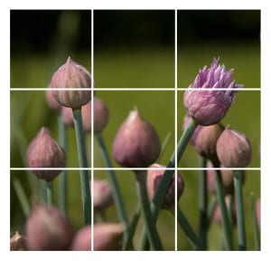 Rule Of Thirds
