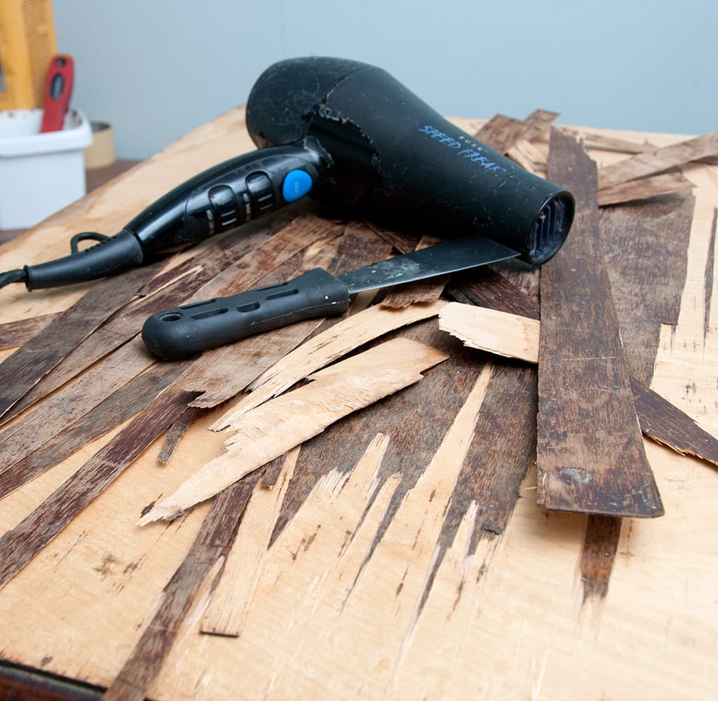 Remove-Veneer-BlowDryer1