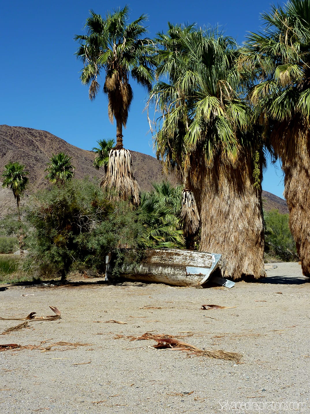boat-on-zzyzx-california