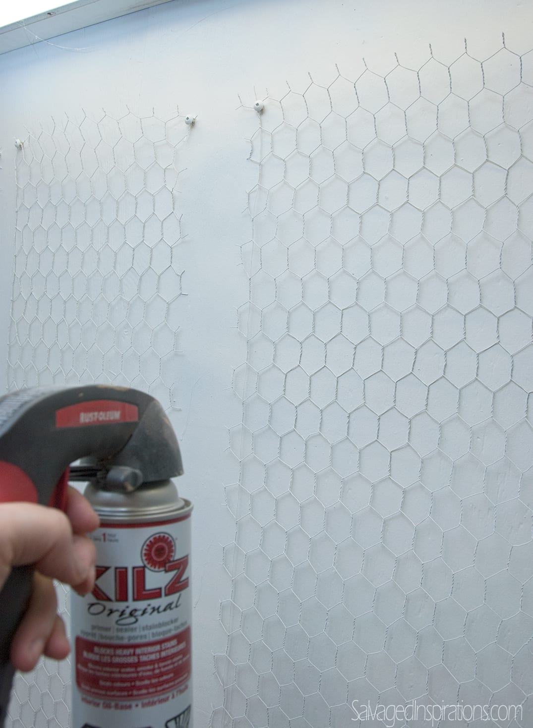 spray-paint-chicken-wire