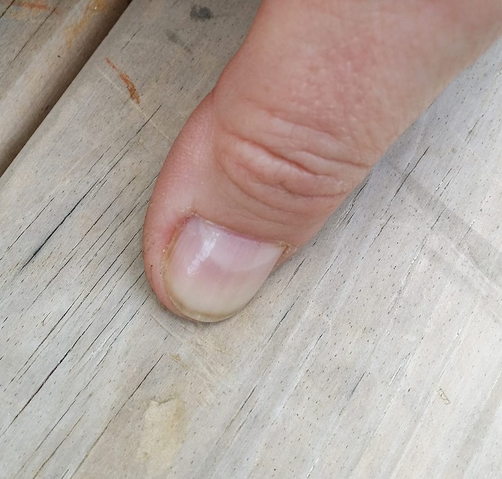 monique-hard-soft wood