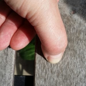 monique-hard wood test