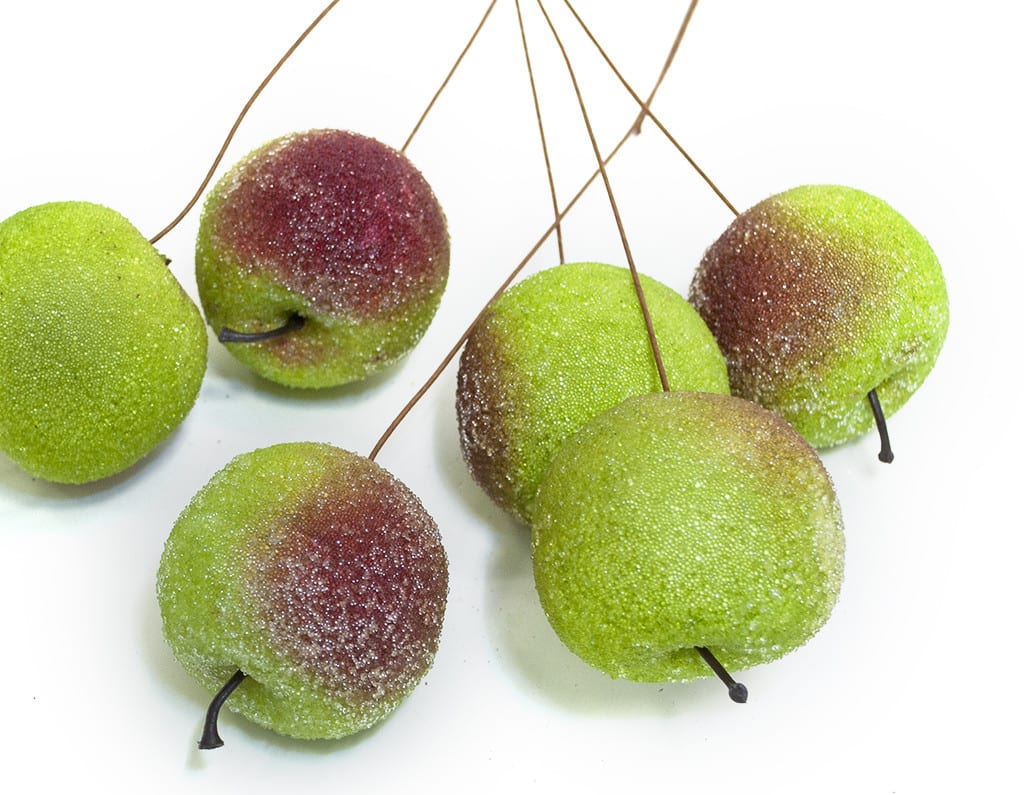 Apple Picks for Xmas Arrangement