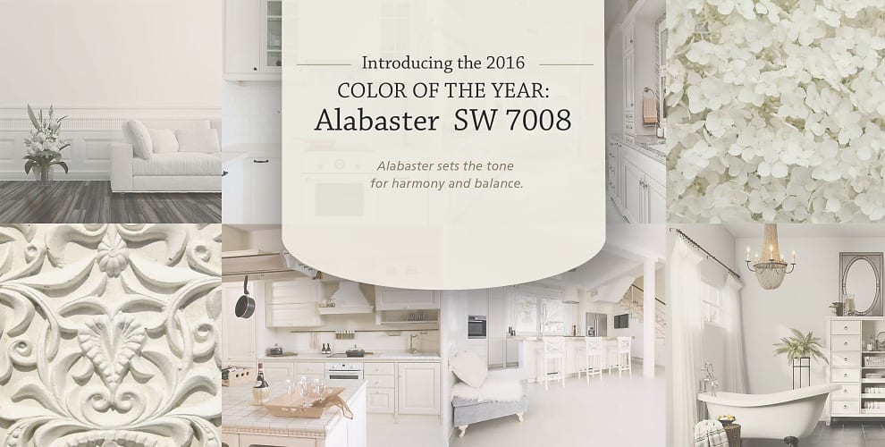COTY2016-Alabaster 7008