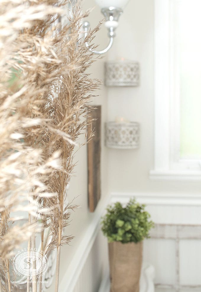 Roadside Grass as Decor