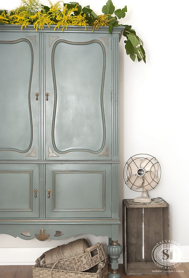 Vintage Cabinet & BS Barn Door