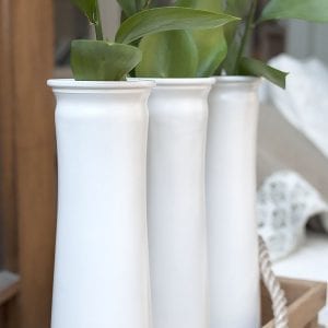 Glass Vases Spray Painted White