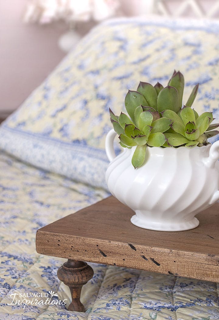 Tray-Riser on Quilt w Succulents