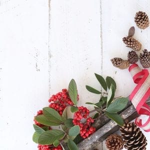 Christmas Berries & Pinecones SI Blog