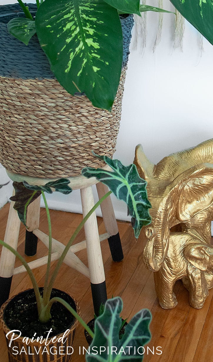 Corner Plant on Stripped Plant Stand