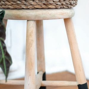 Stool Plant Stand - Natural Wood with Painted Feet