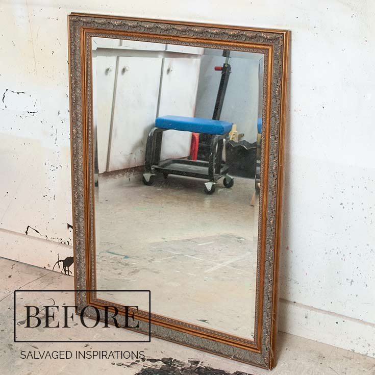 $14.99 Thrift Mirror Before