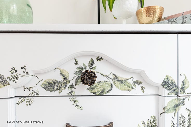 Close Up Of Fern Woods on Dresser