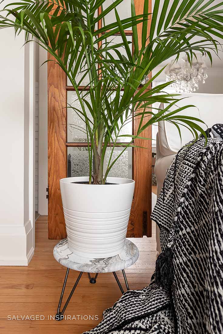 Marble Pour Painting on Curbshopped Plant Stand