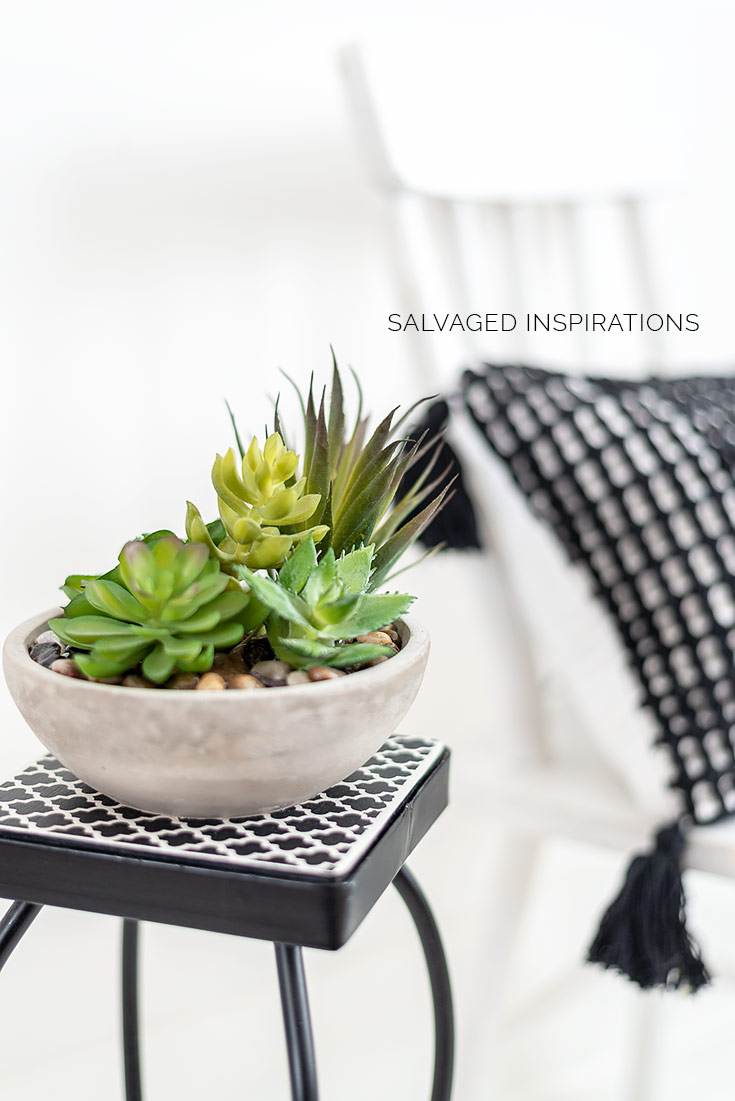 Close Up of Succulent Plantstand