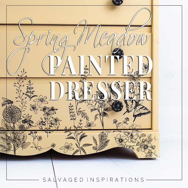 Spring Meadow and Rebel Yellow Intro Pic