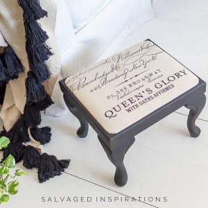 Caviar Foot Stool w Parisian Transfer Fabric IG