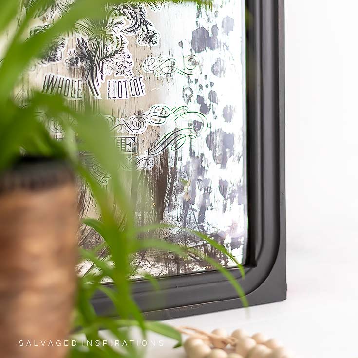 Distressed Mirror w Transfer IG