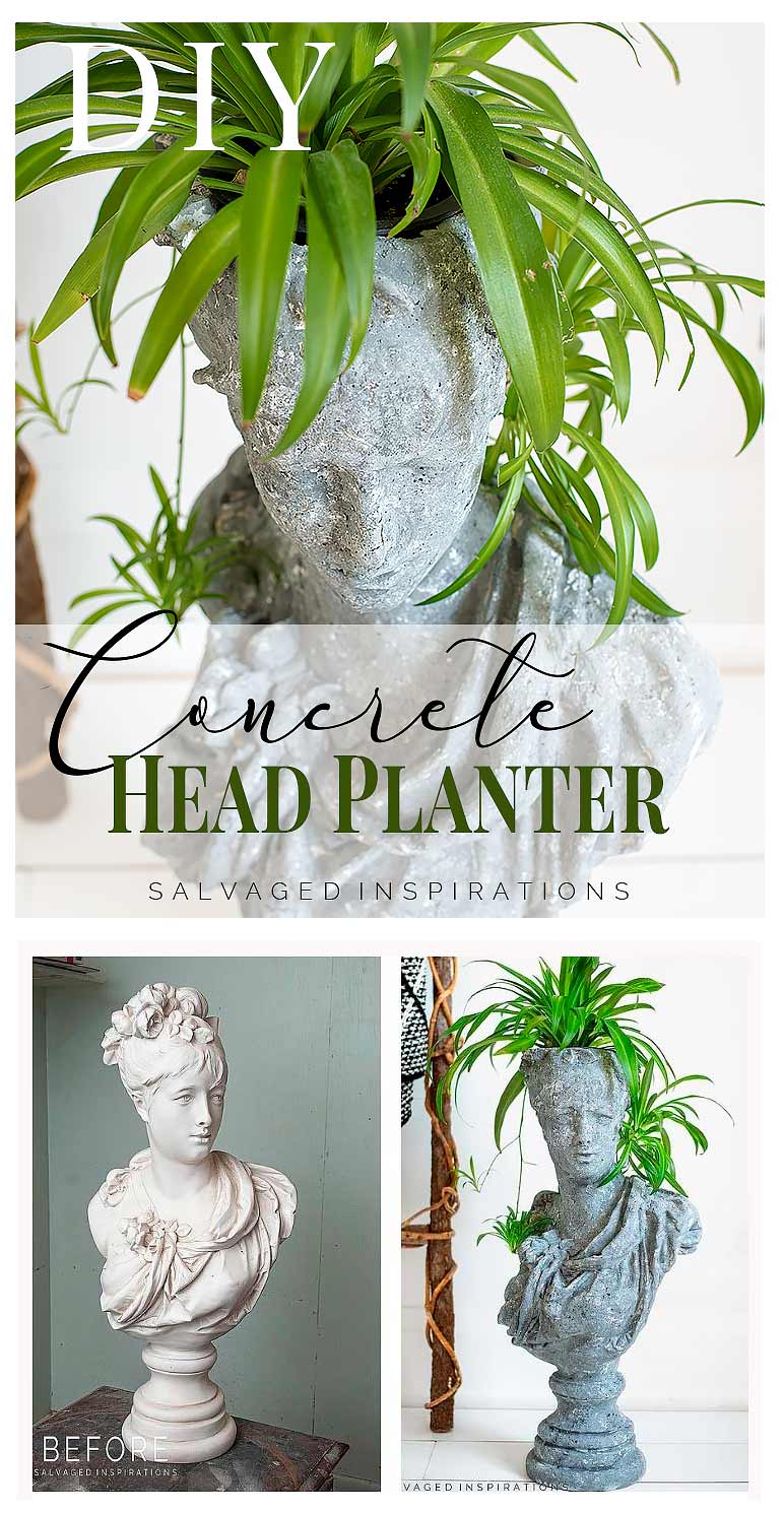 DIY Concrete Head Planter PIN