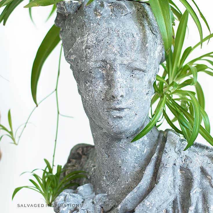 Plant in Concrete FACE Planter IG
