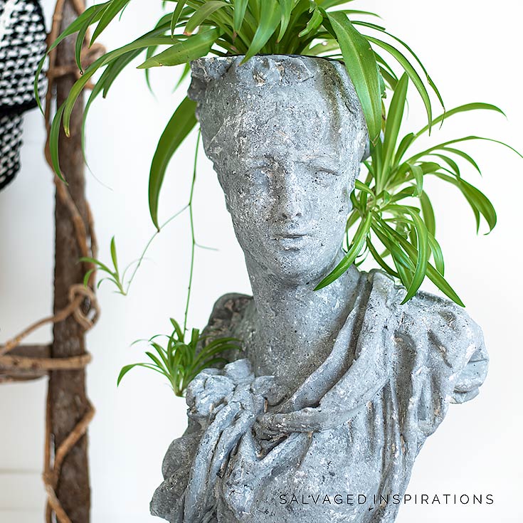 Plant in Concrete Head Planter Pot IG