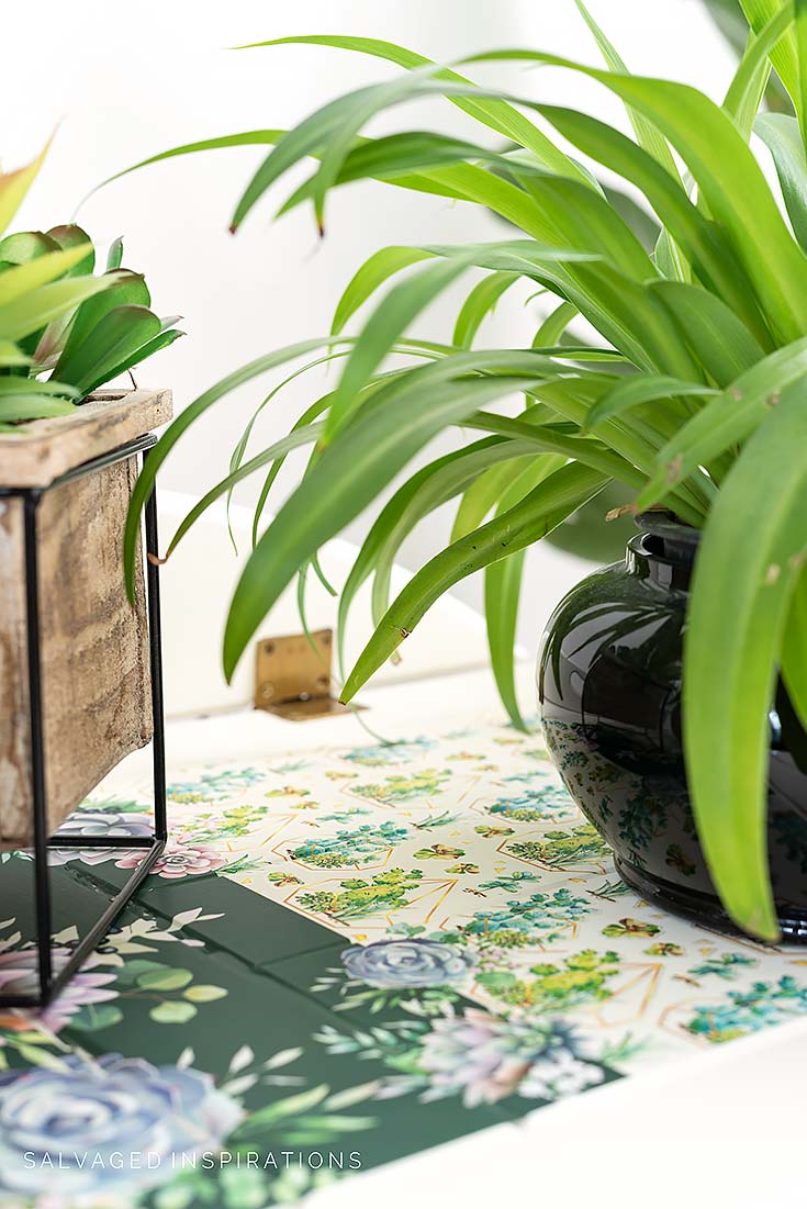 Close Up Of Succulent Transfer