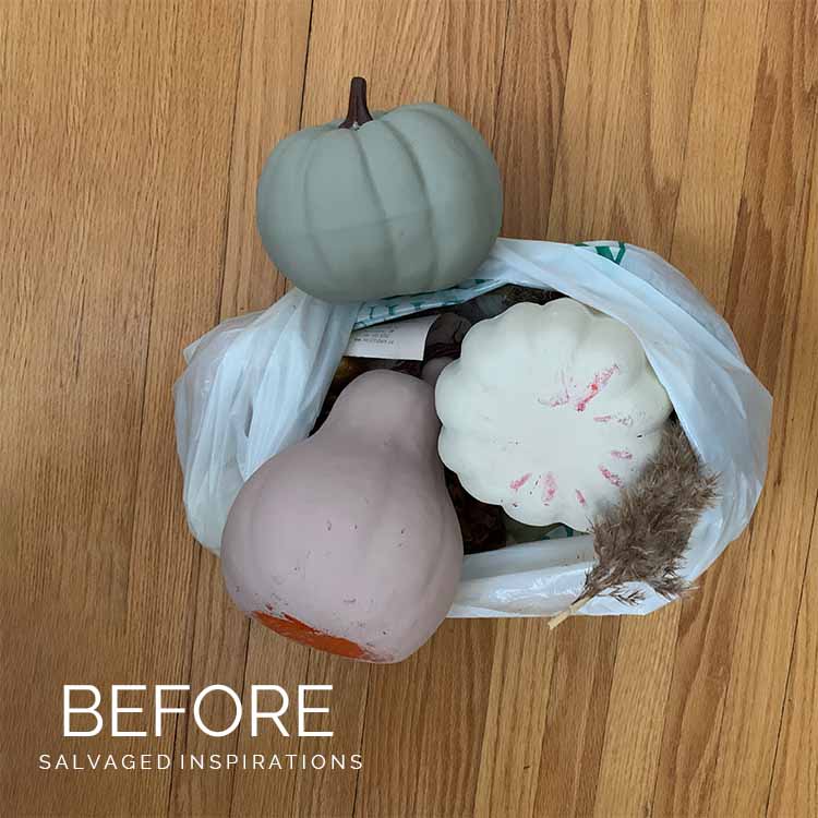 Dollar Store Pumpkins Before