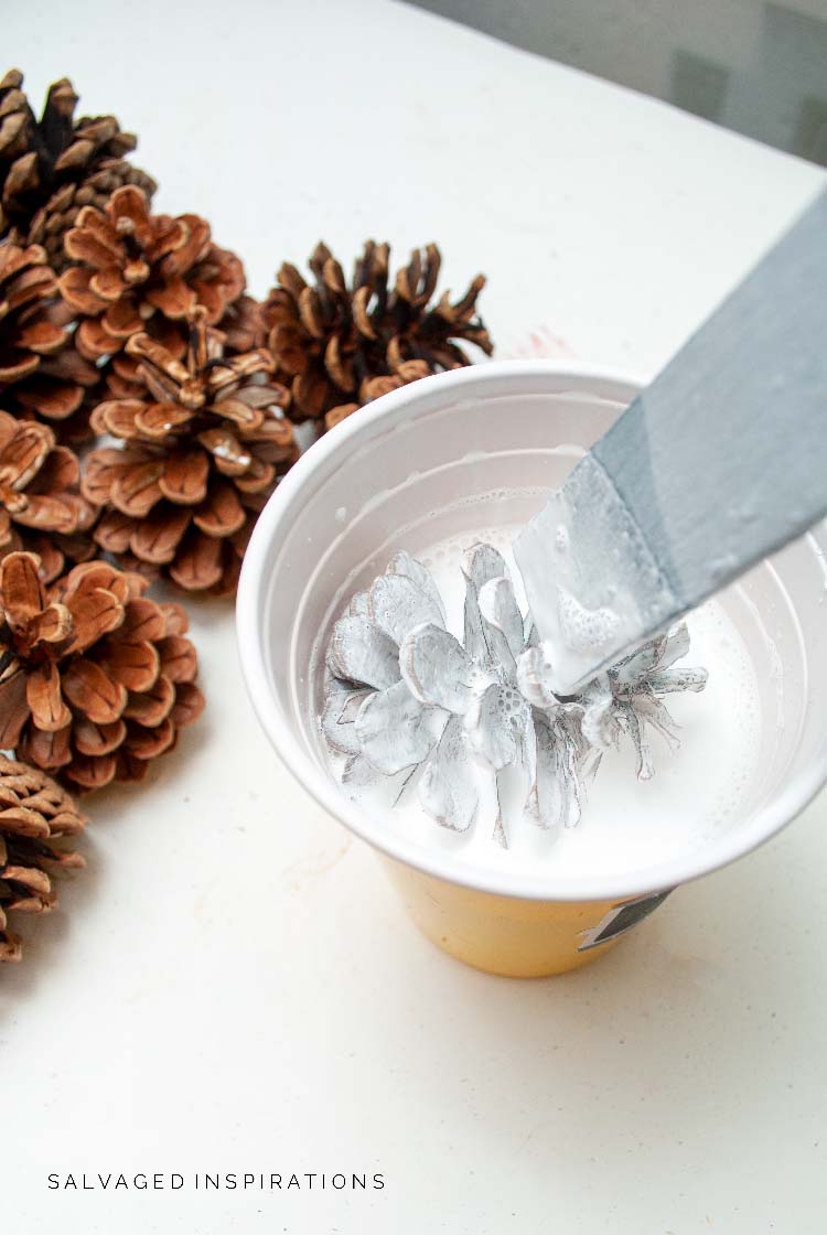 Bleaching Pinecones w Whitewash