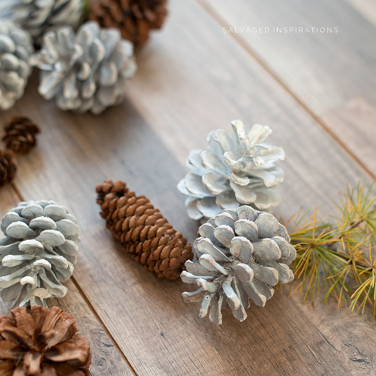 DIY BLEACHED PINECONES SALVAGED IG