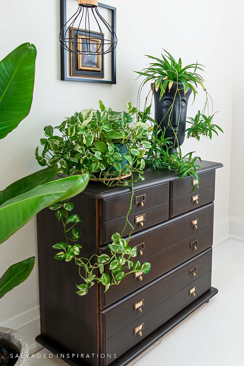 DIY Map Cabinet Side View