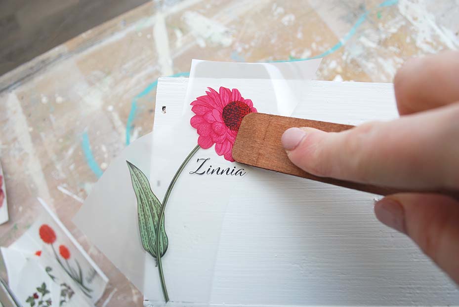 Rubbing On Floral Transfer