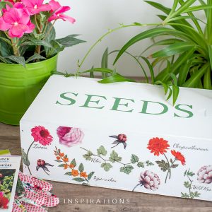 Salvaged Wine Box To Seedbox IG