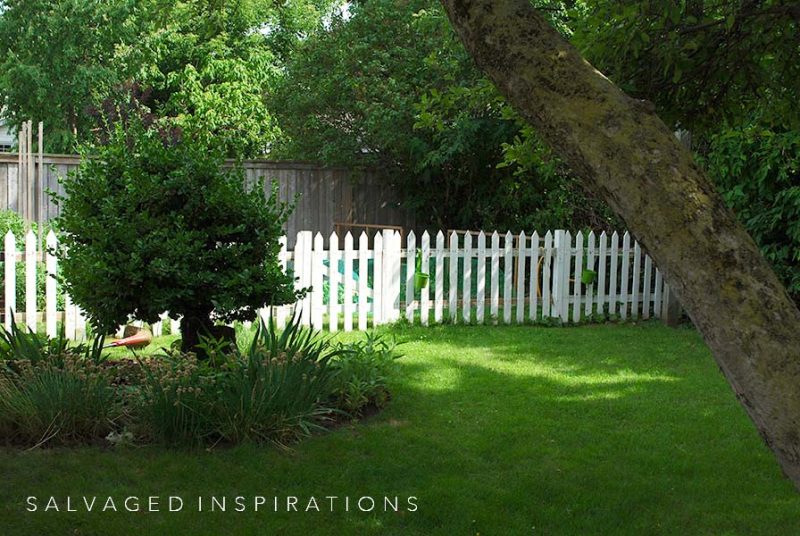 Back Garden Picket Fence