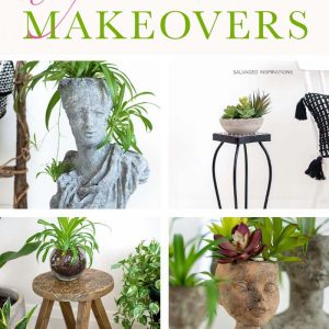 DIY Planter Makeovers TXT