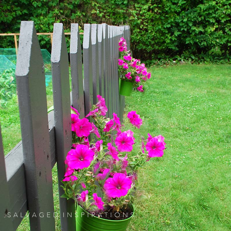 Flowers on Black Picket Fence IG