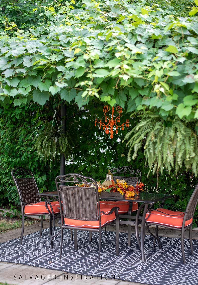 Gazebo Canopy Of Grape Vines