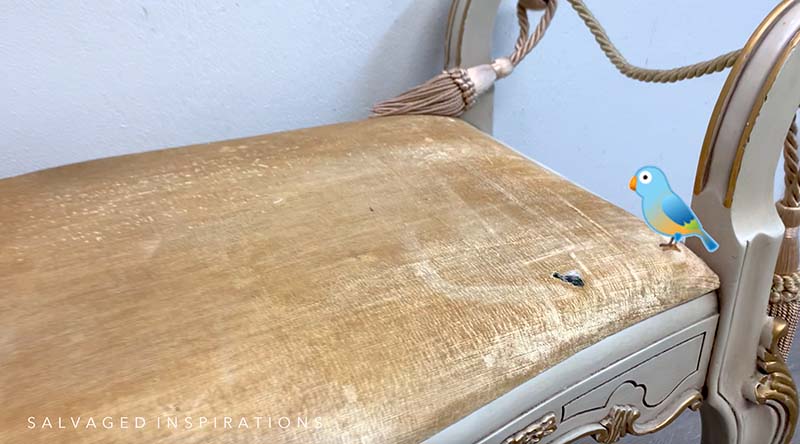 Bird Dropping on Settee Upholstery