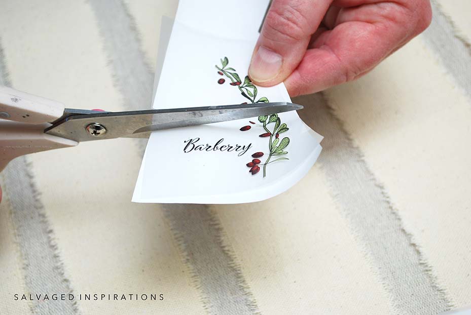 Cutting Out Transfer Design