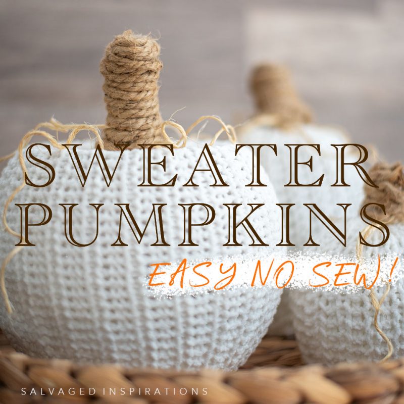 Sweater Pumpkins Easy NO SEW IG