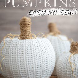 Sweater Pumpkins Easy NO SEW txt